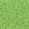 MIYUKI Round Rocailles Beads SEED-JP0010-RR0676-3
