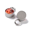 Glass Rhinestone Charms STAS-F189-P05-2