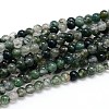Natural Moss Agate Round Bead Strands G-J303-07-8mm-1
