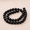 Polished Round Grade A Shell Pearl Bead Strands X-BSHE-M027-6mm-08-2