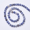 Natural Blue Spot Jasper Beads Strands G-D855-10-6mm-2