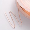 Copper Jewelry Wire CWIR-CW0.3mm-14-3