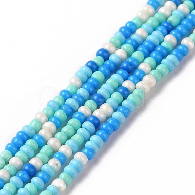 Glass Seed Bead Strands LAMP-B021-04L-1