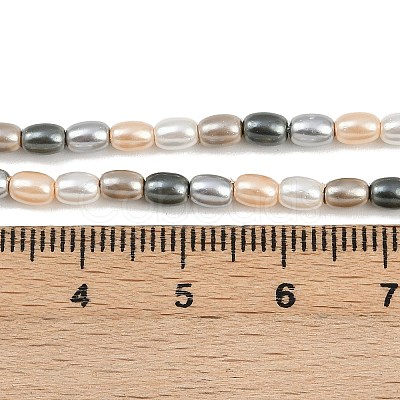 Electroplated Shell Pearl Beads Strands BSHE-H113-06B-03-1