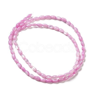 Natural Trochus Shell Beads Strands SHEL-K006-19-1