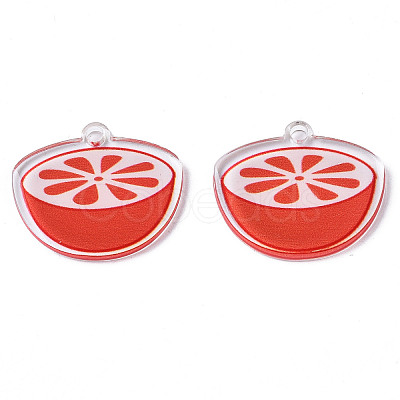 Translucent Acrylic Pendants TACR-N013-006-1