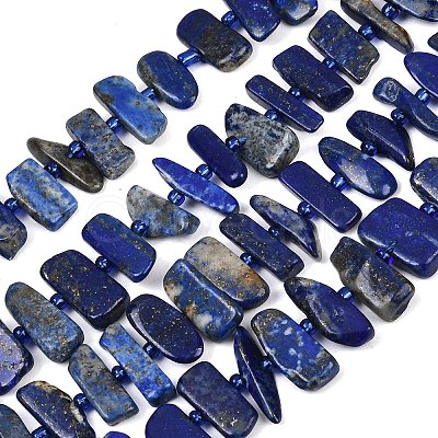 Natural Lapis Lazuli Beads Strands G-K393-B05-1