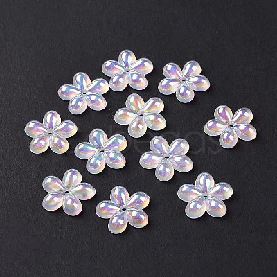 Transparent Acrylic Beads OACR-A017-08-1