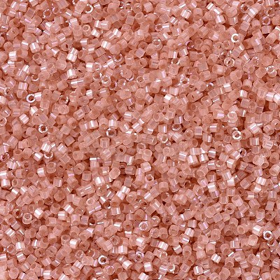 MIYUKI Delica Beads SEED-X0054-DB1863-1