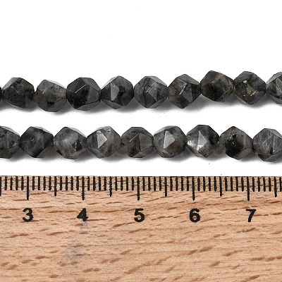 Natural Larvikite Beads Strands G-Z119-A32-01-1