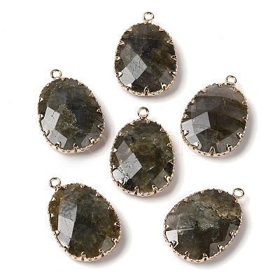 Natural Labradorite Faceted Pendants G-Q169-01G-03-1