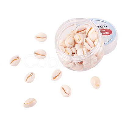 Natural Cowrie Shell Beads BSHE-TA0001-01-1