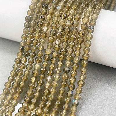 Natural Labradorite Beads Strands G-M438-A01-01-1