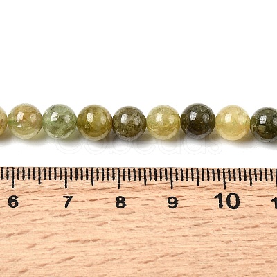 Natural Green Garnet Beads Strands G-G344-A04-6mm-1
