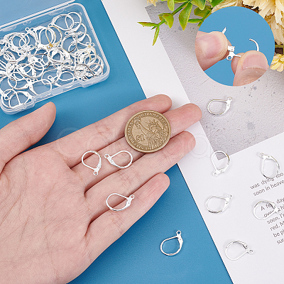 60Pcs Brass Leverback Earring Findings KK-SC0005-61-1