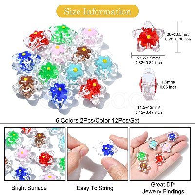 12Pcs 6 Colors Handmade Lampwork Beads LAMP-CJ0001-98-1