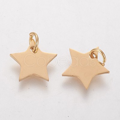 Ion Plating(IP) 304 Stainless Steel Charms STAS-Q201-T461G-1