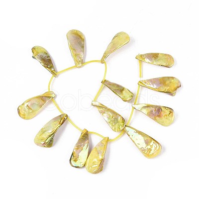 AB Color Plated Dyed Natural Freshwater Shell Beads Strands X-SHEL-T020-55D-1