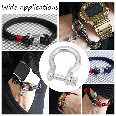 10Pcs 304 Stainless Steel D-Ring Anchor Shackle Clasps STAS-UN0039-91-1