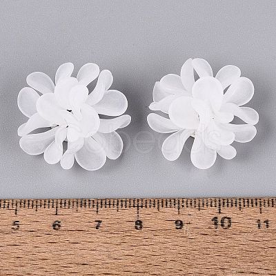 Frosted Transparent Acrylic Cabochons AC-N177-01A-01-1
