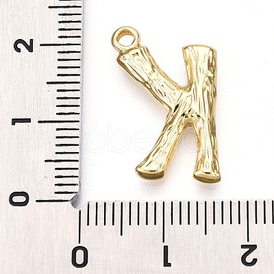 304 Stainless Steel Pendants STAS-N117-01G-K-1