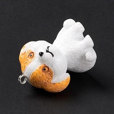 Opaque Resin Pendants RESI-E032-01P-04-1