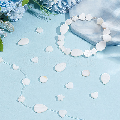 120Pcs 6 Styles Natural Shell Beads SHEL-AR0001-16-1
