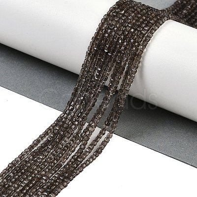Natural Smoky Quartz Beads Strands G-P553-E06-01-1