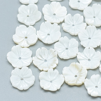 Freshwater Shell Beads SHEL-S275-009-1