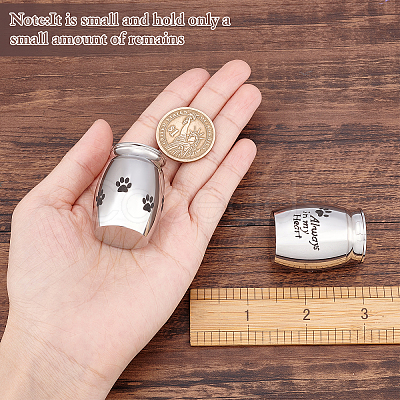 2Pcs 2 Style 316 Stainless Steel Pet Cinerary Casket AJEW-CN0001-20A-1