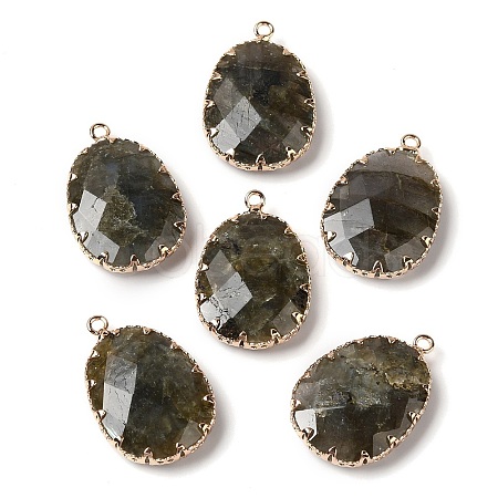 Natural Labradorite Faceted Pendants G-Q169-01G-03-1