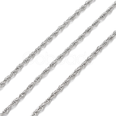 Tarnish Resistant 304 Stainless Steel Rope Chains CHS-G027-08A-P-1