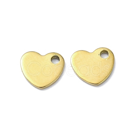Ion Plating(IP) 201 Stainless Steel Charms STAS-H191-01A-G-1