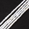 Natural Freshwater Shell Dyed Beads Strands SHEL-M018-12-12-1