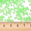 Electroplate Transparent Glass Seed Beads SEED-S042-16A-07-4