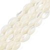Natural Trochus Shell Beads Strands BSHE-G036-06B-1