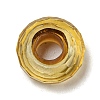 Glass European Beads GLAA-XCP0001-43D-2