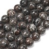 Natural Fluorescent Syenite Rock(Glow under UV Light) Beads Strands GG-NH0012-A01-10mm-2