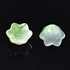 Transparent Two Tone Spray Painted Glass Beads GLAA-Q089-002B-010-4