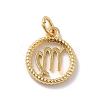Brass Charms KK-A160-20G-06-2