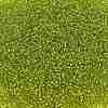 TOHO 11/0 Round Beads X-SEED-TR11-0024-2