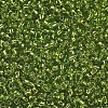 12/0 Glass Seed Beads X2-SEED-A005-2mm-24-2