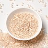 12/0 Transparent Glass Seed Beads X-SEED-F003-03C-12-2