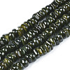 Natural Trochid Shell/Trochus Shell Beads Strands SHEL-S258-081-B01-1