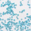 8/0 Round Glass Seed Beads X-SEED-J011-F8-179-3