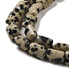 Natural Dalmatian Jasper Beads Strands G-G085-A13-01-3