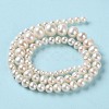 Natural Cultured Freshwater Pearl Beads Strands PEAR-E018-67-3