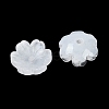 Transparent Spray Paint Glass Bead Caps GLAA-H035-04-3