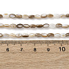 Natural Freshwater Shell Beads Strands SHEL-K006-78B-4