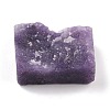 Rough Natural Lepidolite/Purple Mica Stone Beads G-D457-02-2